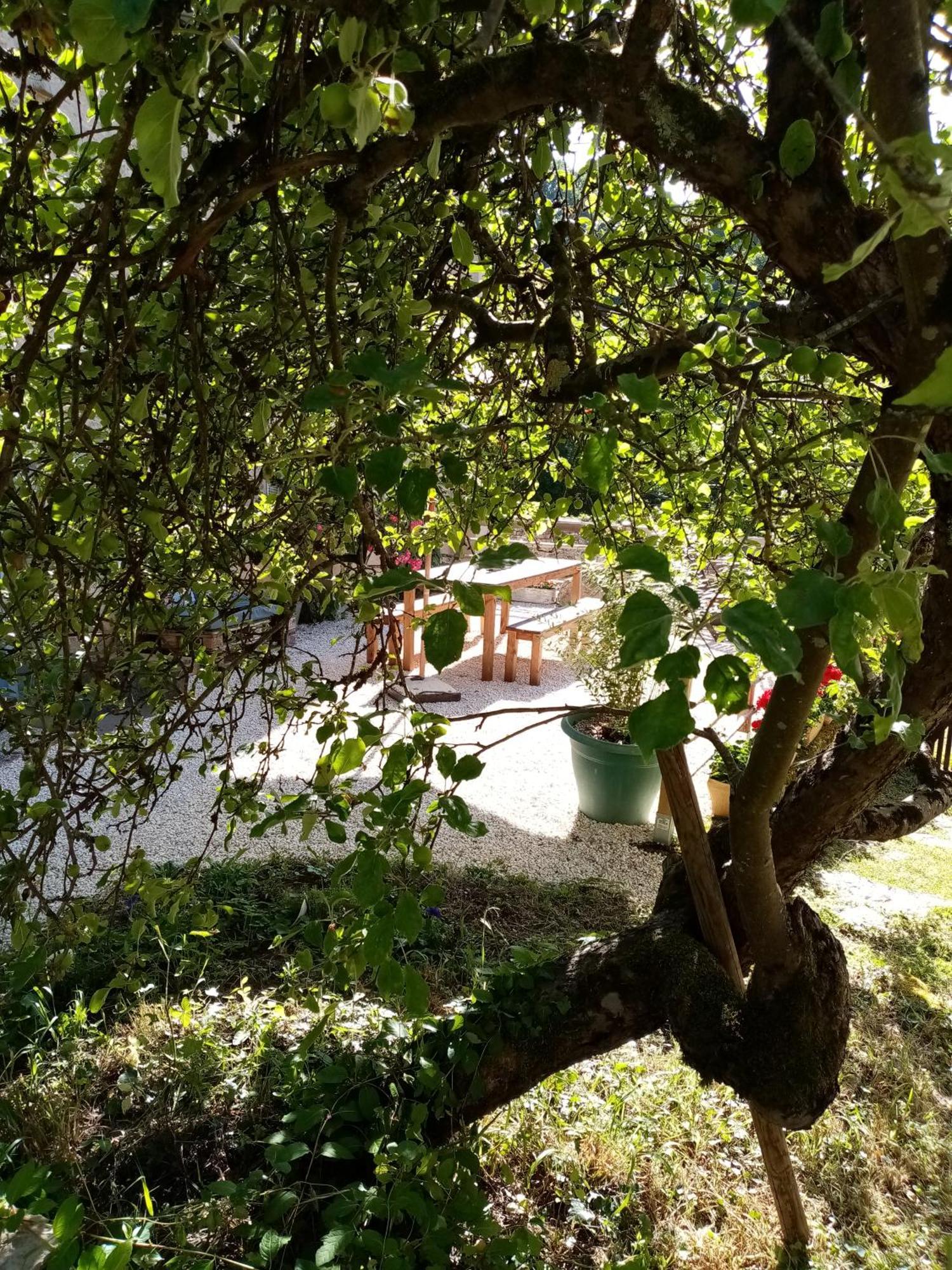 Gite Les 27 Roses Et Plus Châtel-Censoir Buitenkant foto